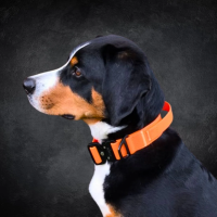 Halsband WOOFLEX® Tactical verstellbar Sunset Orange