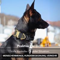 taktisches Nylon Halsband Black Gold