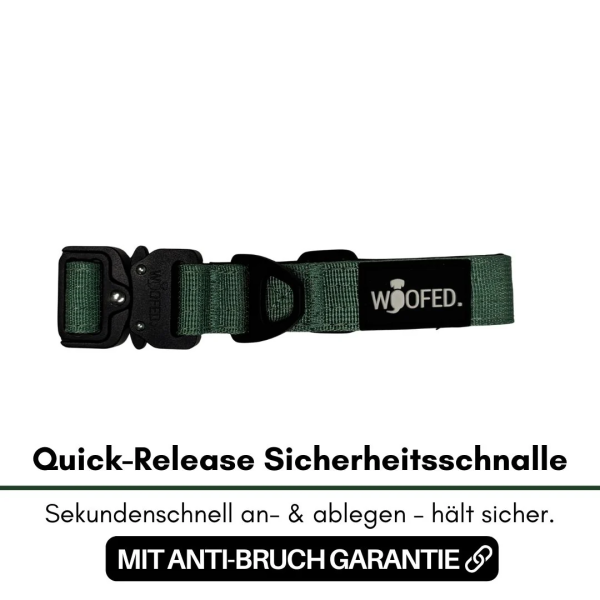 taktisches Nylon Halsband für kleine Hunde Dark Green