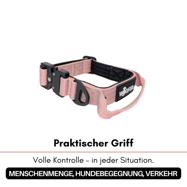 taktisches Nylon Halsband für kleine Hunde Dusty Rose