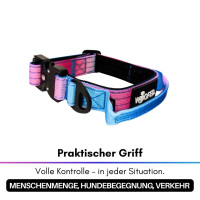 taktisches Nylon Halsband für kleine Hunde Pink Blue Sky