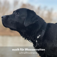 taktisches Nylon Halsband mit Griff Deep Black - ultraleicht