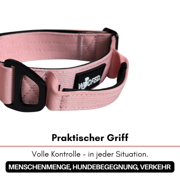 taktisches Nylon Halsband mit Griff Dusty Rose - ultraleicht