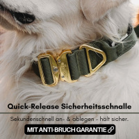 taktisches Nylon Halsband Noble Olive