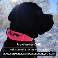 taktisches Nylon Halsband Pink Bloom - ultraleicht