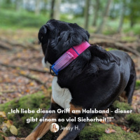 taktisches Nylon Halsband Pink Blue Sky - ultraleicht