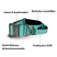 taktisches Nylon Halsband Seafoam