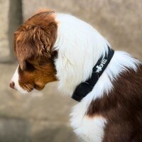 Halsband WOOFLEX® Classic verstellbar Phantom Black