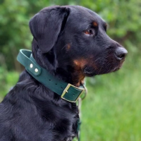 Leder Halsband mit Griff verstellbar