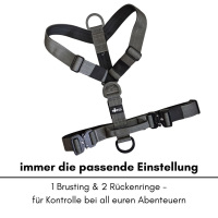 Y-Hundegeschirr 4fach-verstellbar mit Griff und Sicherheitsschnallen Anthracite - ultraleicht
