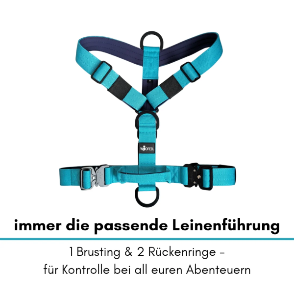 Y-Hundegeschirr 4fach-verstellbar mit Griff und Sicherheitsschnallen Arctic Sky - ultraleicht