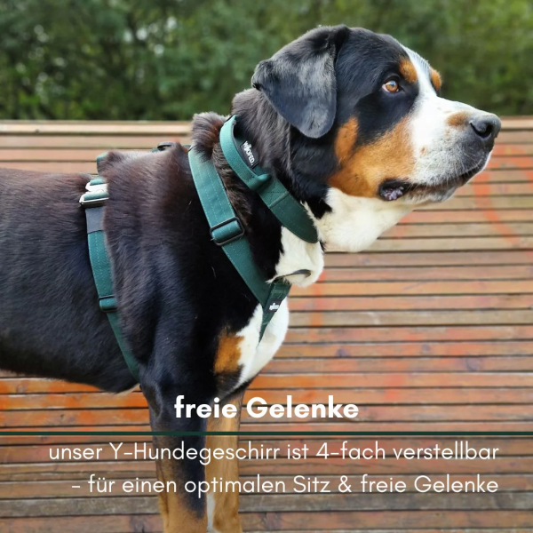 Y-Hundegeschirr 4fach-verstellbar mit Griff und Sicherheitsschnallen Dark Green - ultraleicht