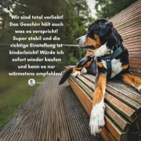 Y-Hundegeschirr 4fach-verstellbar mit Griff und...