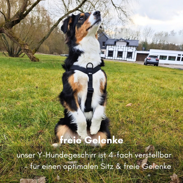 Y-Hundegeschirr 4fach-verstellbar mit Griff und Sicherheitsschnallen Deep Black - ultraleicht