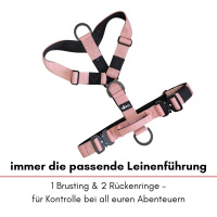 Y-Hundegeschirr 4fach-verstellbar mit Griff und Sicherheitsschnallen Dusty Rose - ultraleicht
