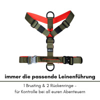 Y-Hundegeschirr 4fach-verstellbar mit Griff und Sicherheitsschnallen Hunter Glow - ultraleicht