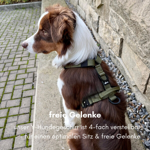 Y-Hundegeschirr 4fach-verstellbar mit Griff und Sicherheitsschnallen Military Olive - ultraleicht