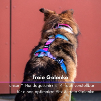 Y-Hundegeschirr 4fach-verstellbar mit Griff und...