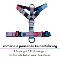 Y-Hundegeschirr 4fach-verstellbar mit Griff und Sicherheitsschnallen Pink Blue Sky - ultraleicht