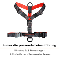 Y-Hundegeschirr 4fach-verstellbar mit Griff und...