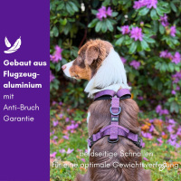 Y-Hundegeschirr 4fach-verstellbar mit Griff und Sicherheitsschnallen Velvet Purple - ultraleicht