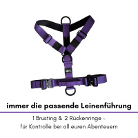 Y-Hundegeschirr 4fach-verstellbar mit Griff und Sicherheitsschnallen Velvet Purple - ultraleicht