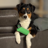 Hundespielzeug Beißwurst