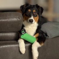 Hundespielzeug Beißwurst