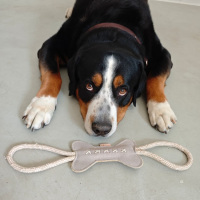 nachhaltiges Hundespielzeug 3er Set - Ella, Bruno & Kurt