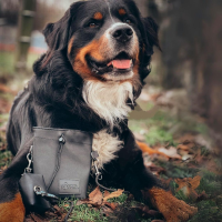 Leckerlibeutel Cool Grey