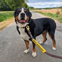 Leinen Banderole Nicht anfassen