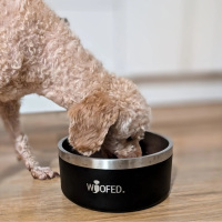 Premium Edelstahlnapf Mystery Black