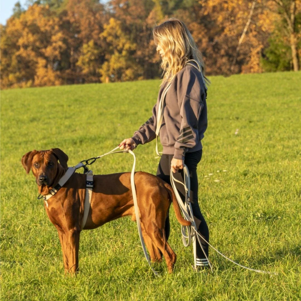 multifunktionale Schleppleine WOOFLEX® Desert Sand