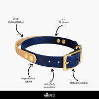 Biothane Halsband mit Griff verstellbar - 38mm / 3XL 55-63cm