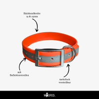 Biothane Reflective Halsband verstellbar - 25mm / M 35-43cm