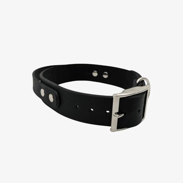 Leder Halsband mit Griff verstellbar - 25mm / L 40-48cm