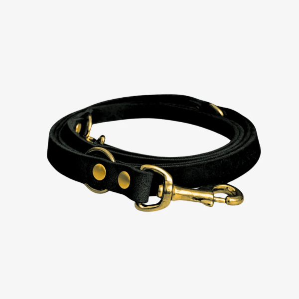 Leder Führleine verstellbar - 2m / 20mm