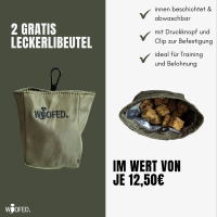 Multifunktionale Gassitasche - 2 in 1 Bauchtasche & Schultertasche Olive