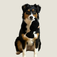 Hundespielzeug WOOFED. Logo Hund