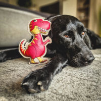 Hundespielzeug Dinosaurier Dino