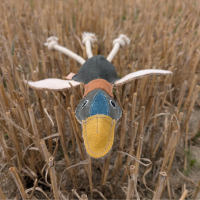 nachhaltiges Hundespielzeug Ente Ella