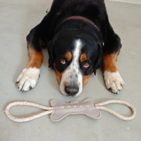 nachhaltiges Hundespielzeug Knochen Kurt mit Seil