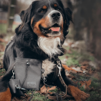 Kotbeutelspender Cool Grey