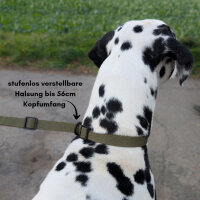 Nylon Retrieverleine verstellbar Military Olive