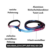 Nylon Retrieverleine verstellbar Pink Blue Sky
