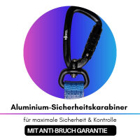 Nylon Retrieverleine verstellbar Pink Blue Sky