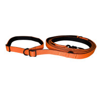 Nylon Retrieverleine verstellbar Safety Orange