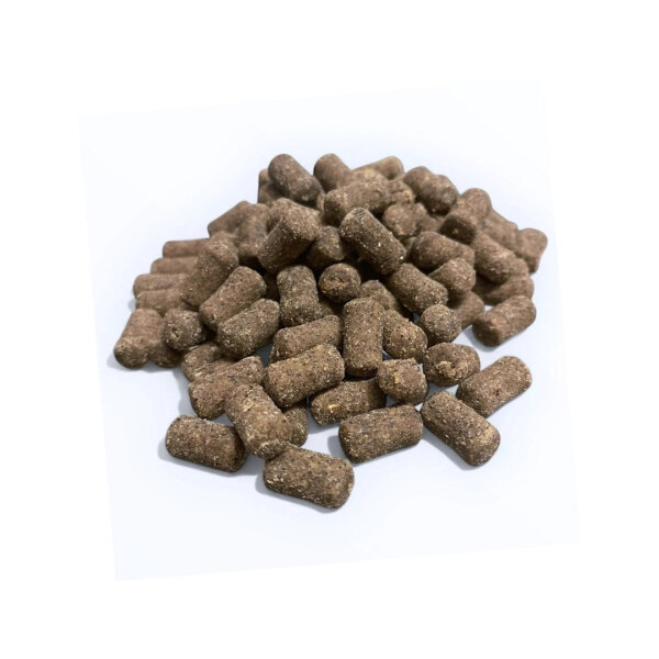 Fisch Trainings Softie