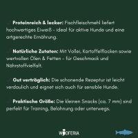 Fisch Trainings Softie