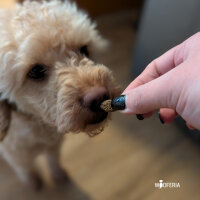 Fischli Premium Snack